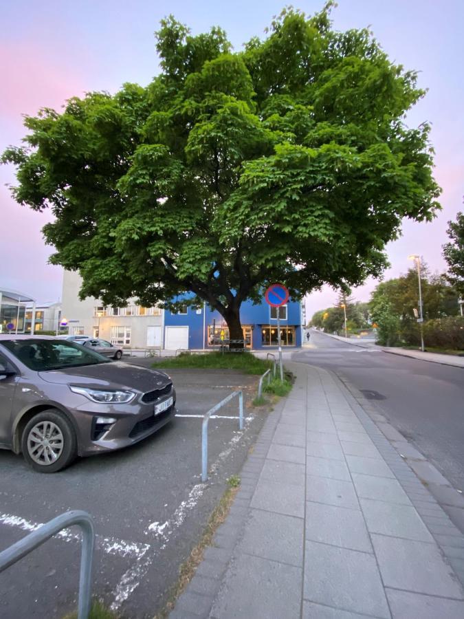 Day Dream Historical Grjotagata 4 Lägenhet Reykjavík Exteriör bild